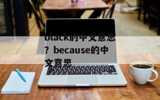 black的中文意思？because的中文意思