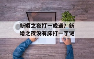 新婚之夜打一成语？新婚之夜没有床打一字谜