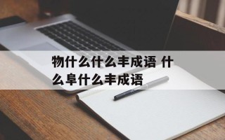 物什么什么丰成语 什么阜什么丰成语