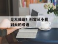 见大成语？形容从小看到大的成语