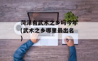 菏泽有武术之乡吗今年(武术之乡哪里最出名)