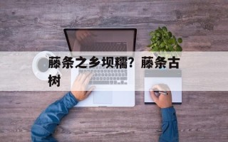 藤条之乡坝糯？藤条古树