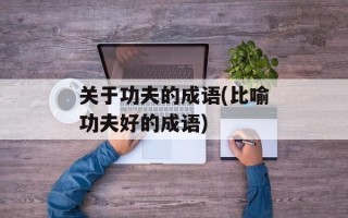 关于功夫的成语(比喻功夫好的成语)