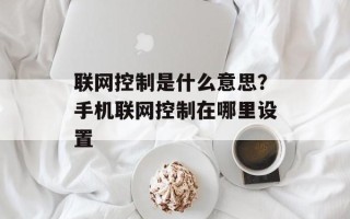 联网控制是什么意思？手机联网控制在哪里设置