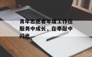青年志愿者年度工作在服务中成长，在奉献中闪光