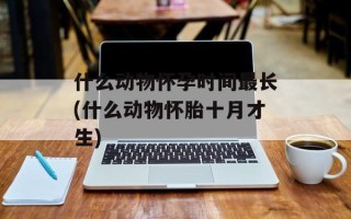什么动物怀孕时间最长(什么动物怀胎十月才生)