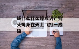 蝇什么什么躁成语？狗头蝇身在天上飞打一成语