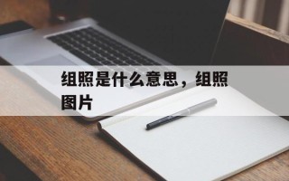 组照是什么意思，组照图片