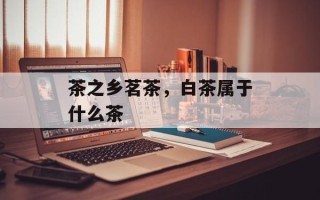 茶之乡茗茶，白茶属于什么茶