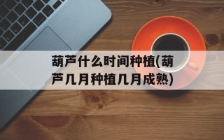 葫芦什么时间种植(葫芦几月种植几月成熟)