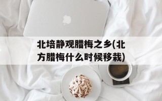 北培静观腊梅之乡(北方腊梅什么时候移栽)
