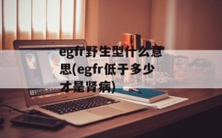 egfr野生型什么意思(egfr低于多少才是肾病)