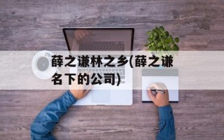 薛之谦林之乡(薛之谦名下的公司)