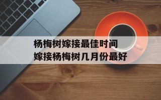 杨梅树嫁接最佳时间 嫁接杨梅树几月份最好