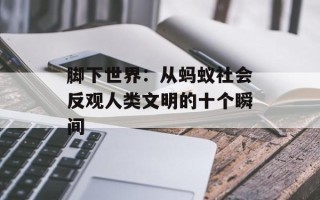 脚下世界：从蚂蚁社会反观人类文明的十个瞬间