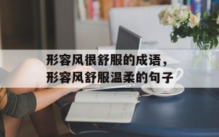 形容风很舒服的成语，形容风舒服温柔的句子