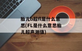胎儿b超fl是什么意思(FL是什么意思胎儿超声测值)