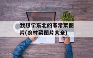 我想学东北的家常菜图片(农村菜图片大全)