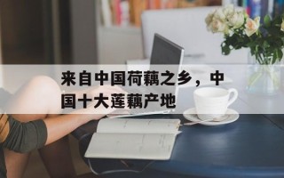 来自中国荷藕之乡，中国十大莲藕产地