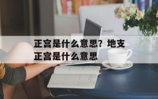 正宫是什么意思？地支正宫是什么意思
