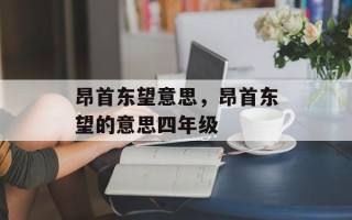 昂首东望意思，昂首东望的意思四年级