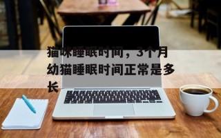 猫咪睡眠时间，3个月幼猫睡眠时间正常是多长
