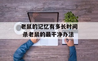 老鼠的记忆有多长时间 杀老鼠的最干净办法
