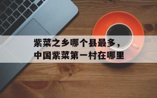 紫菜之乡哪个县最多，中国紫菜第一村在哪里