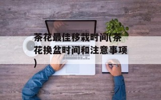 茶花最佳移栽时间(茶花换盆时间和注意事项)