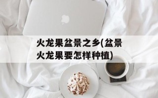 火龙果盆景之乡(盆景火龙果要怎样种植)