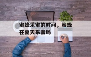 蜜蜂采蜜的时间，蜜蜂在夏天采蜜吗