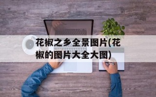 花椒之乡全景图片(花椒的图片大全大图)