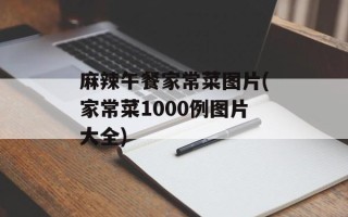 麻辣午餐家常菜图片(家常菜1000例图片大全)