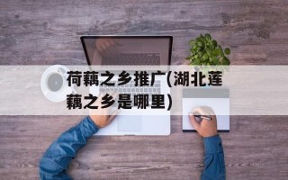 荷藕之乡推广(湖北莲藕之乡是哪里)