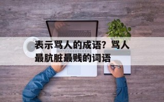表示骂人的成语？骂人最肮脏最贱的词语