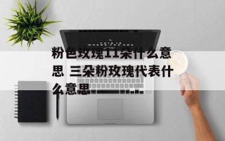 粉色玫瑰11朵什么意思 三朵粉玫瑰代表什么意思