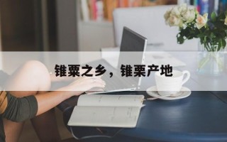 锥粟之乡，锥栗产地