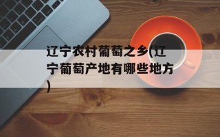 辽宁农村葡萄之乡(辽宁葡萄产地有哪些地方)