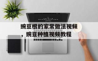 豌豆根的家常做法视频，豌豆种植视频教程