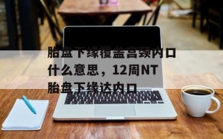 胎盘下缘覆盖宫颈内口什么意思，12周NT胎盘下缘达内口