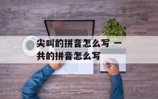 尖叫的拼音怎么写 一共的拼音怎么写