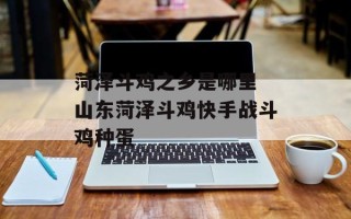 菏泽斗鸡之乡是哪里 山东菏泽斗鸡快手战斗鸡种蛋