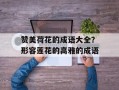 赞美荷花的成语大全？形容莲花的高雅的成语