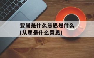 要属是什么意思是什么(从属是什么意思)