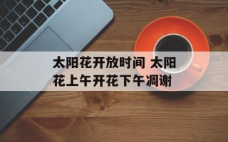 太阳花开放时间 太阳花上午开花下午凋谢