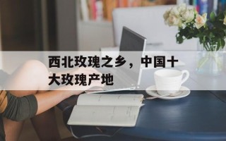 西北玫瑰之乡，中国十大玫瑰产地