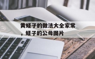 黄蛏子的做法大全家常，蛏子的公母图片