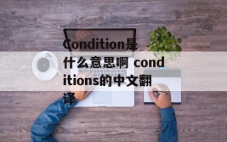Condition是什么意思啊 conditions的中文翻译