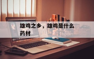 雄鸡之乡，雄鸡是什么药材