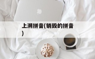 上溯拼音(销毁的拼音)